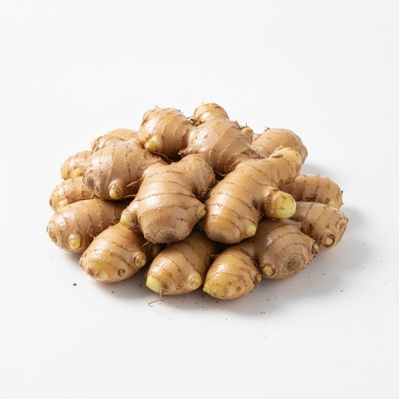Elephant Ginger